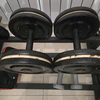 coppia manubri in ferro rivestiti in plastica 12kg