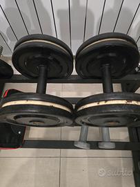 coppia manubri in ferro rivestiti in plastica 12kg