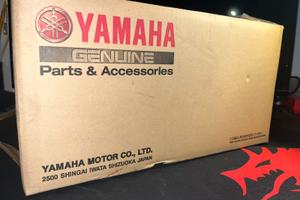 Kit Centralina Immobilizer Fuoribordo Yamaha