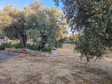Casa in campagna