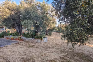 Casa in campagna