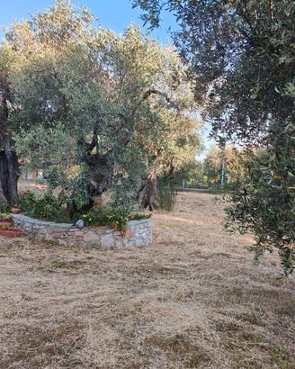 Casa in campagna