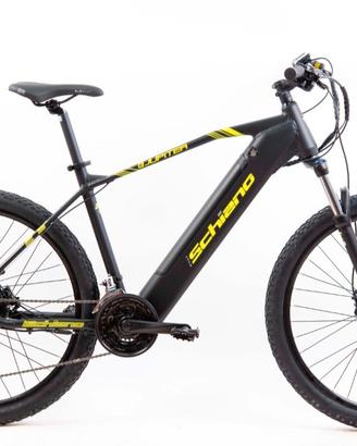 e bike