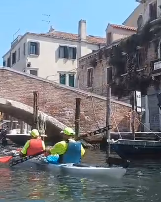 Kayak