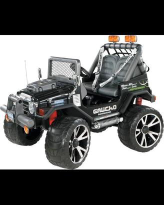 Gaucho peg perego 24 volt.