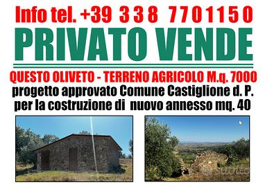 Terreno con olivi e annesso posizione panoramica