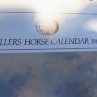 CALENDARIO CAVALLI