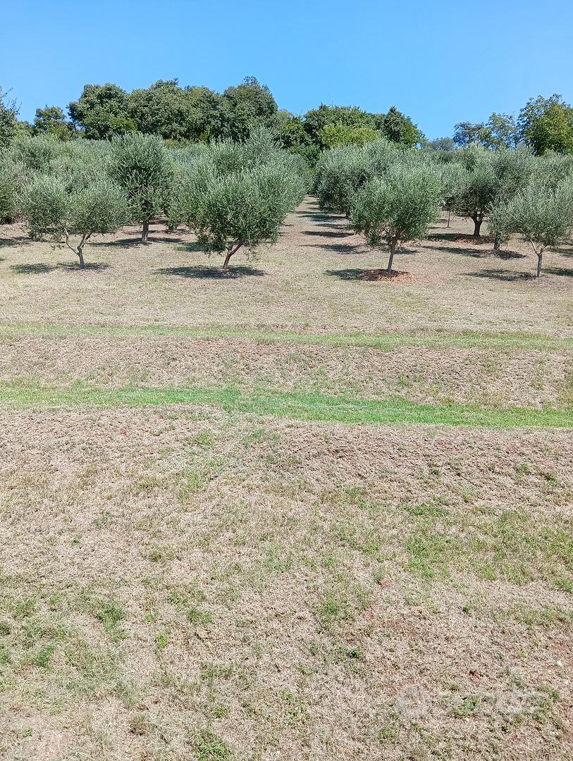 Casa con terreno Colli Euganei - Vista 5