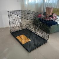 accessori per animali