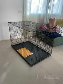 accessori per animali