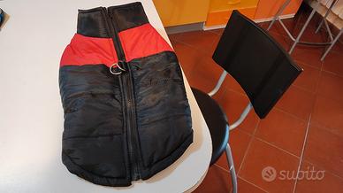 giubbotto impermeabile per cane 