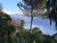 Immagine 14