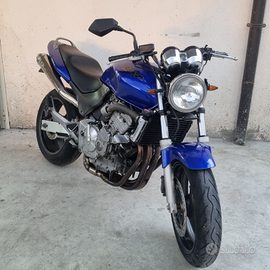 Honda hornet