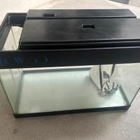 Acquario 60 litri