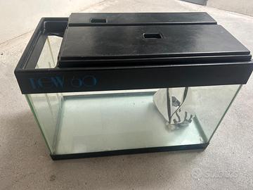 Acquario 60 litri