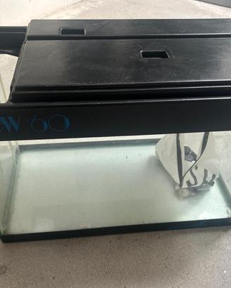 Acquario 60 litri