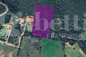 Terreno Agricolo Olbia [Cod. rif 3170619VCG]