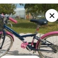 Bici 24 pollici