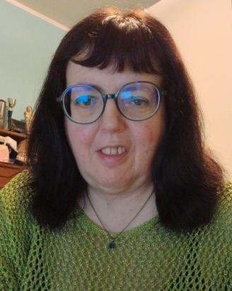 Lavapiatti,stiro,baby sitter