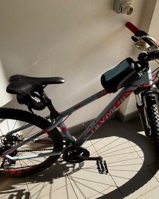 Mtb Olympia