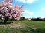 Immagine 11