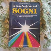 La grande guida dei sogni Copertina flessibile – 1