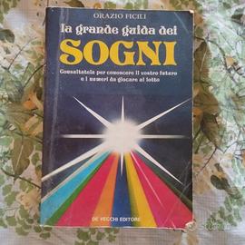 La grande guida dei sogni Copertina flessibile – 1