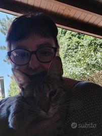 Addetta alle pulizie