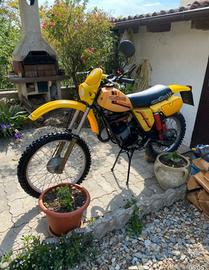 Ancillotti 50