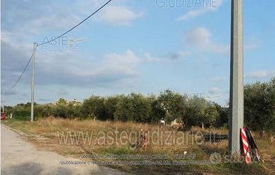 Terreno Agricolo Collecorvino [A4357413]
