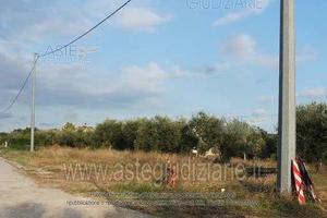 Terreno Agricolo Collecorvino [A4357413]