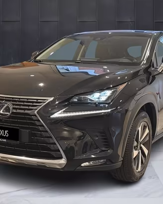 Lexus NX 300 h 2.5 Luxury 4wd cvt