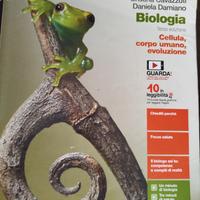 libri di testo scuola superiore 