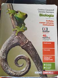 libri di testo scuola superiore 