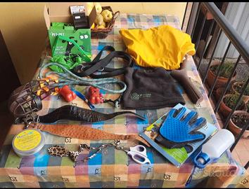 tutto per un  levriero irlandese 