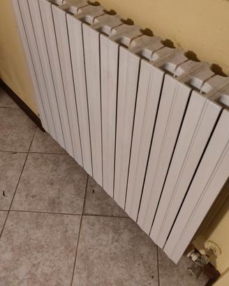 Termosifoni in ghisa