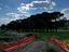 Immagine 8