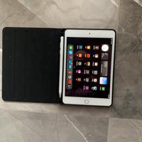 Ipad mini 5