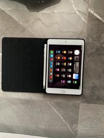 Ipad mini 5