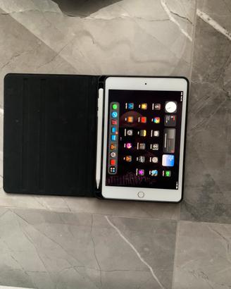 Ipad mini 5