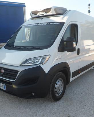Fiat Ducato furgone maxi frigo coibentato