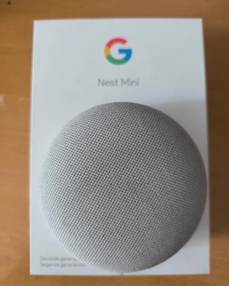 Alexa nest mini 2