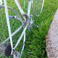 Bici da corsa d'epoca, f.moser