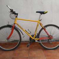 Mountain Bike da uomo