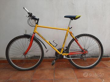 Mountain Bike da uomo