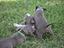 Immagine 27