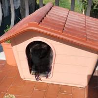 casetta per gatto o cane 