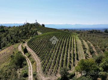 TER. AGRICOLO A LEQUIO BERRIA