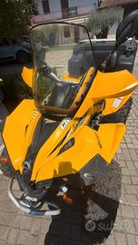 quad can am renegade 800