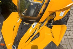 quad can am renegade 800